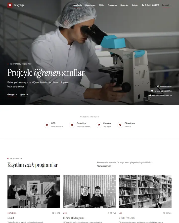 Tema 11 – Minimal tasarım önizlemesi